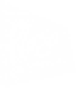 plaza-americas